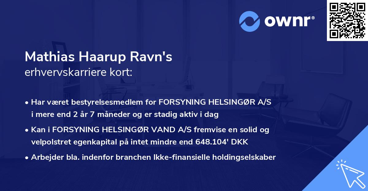 Mathias Haarup Ravn's erhvervskarriere kort