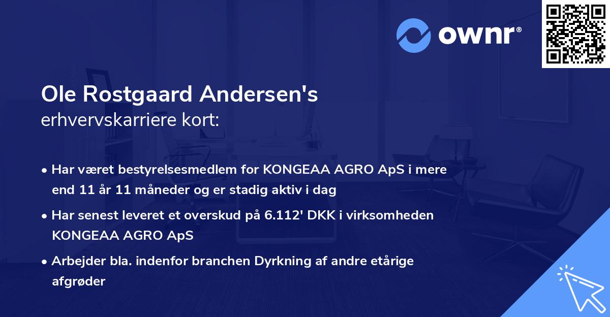 Ole Rostgaard Andersen's erhvervskarriere kort