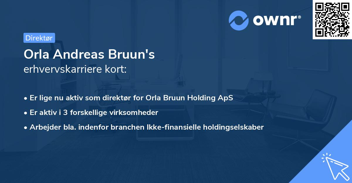 Orla Andreas Bruun's erhvervskarriere kort