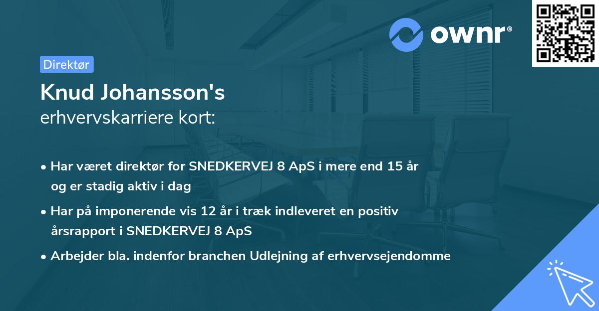 Knud Johansson's erhvervskarriere kort