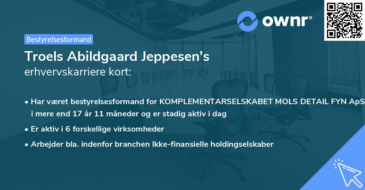 Troels Abildgaard Jeppesen's erhvervskarriere kort