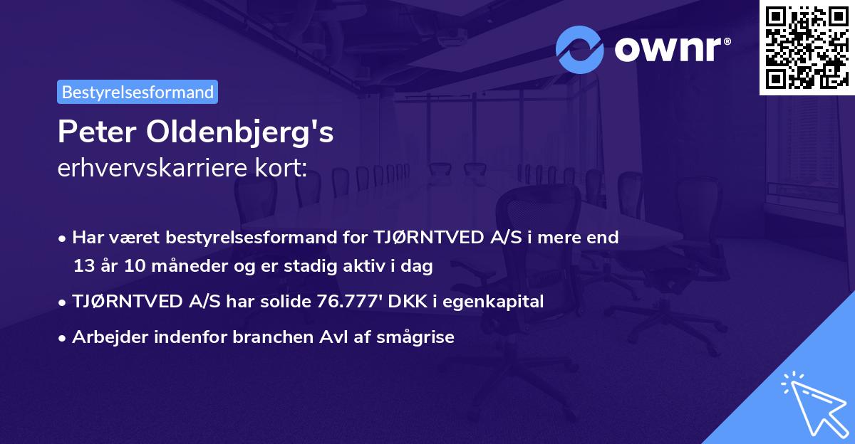 Peter Oldenbjerg's erhvervskarriere kort