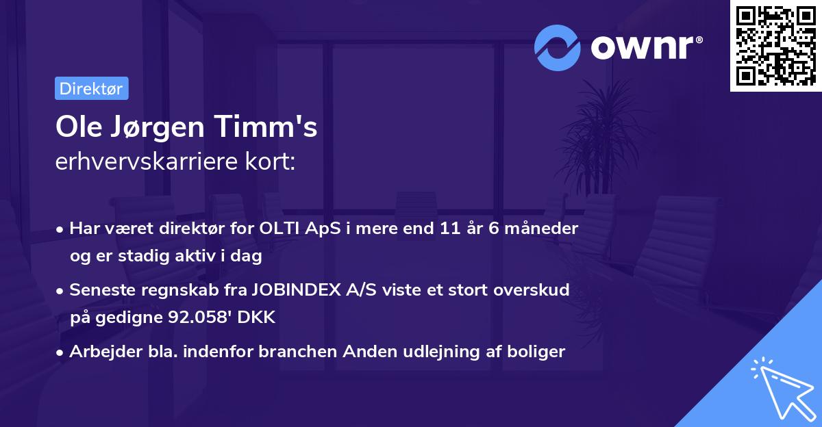 Ole Jørgen Timm's erhvervskarriere kort