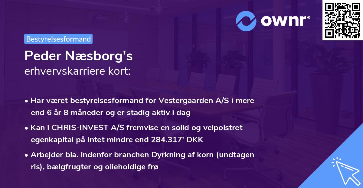 Peder Næsborg's erhvervskarriere kort
