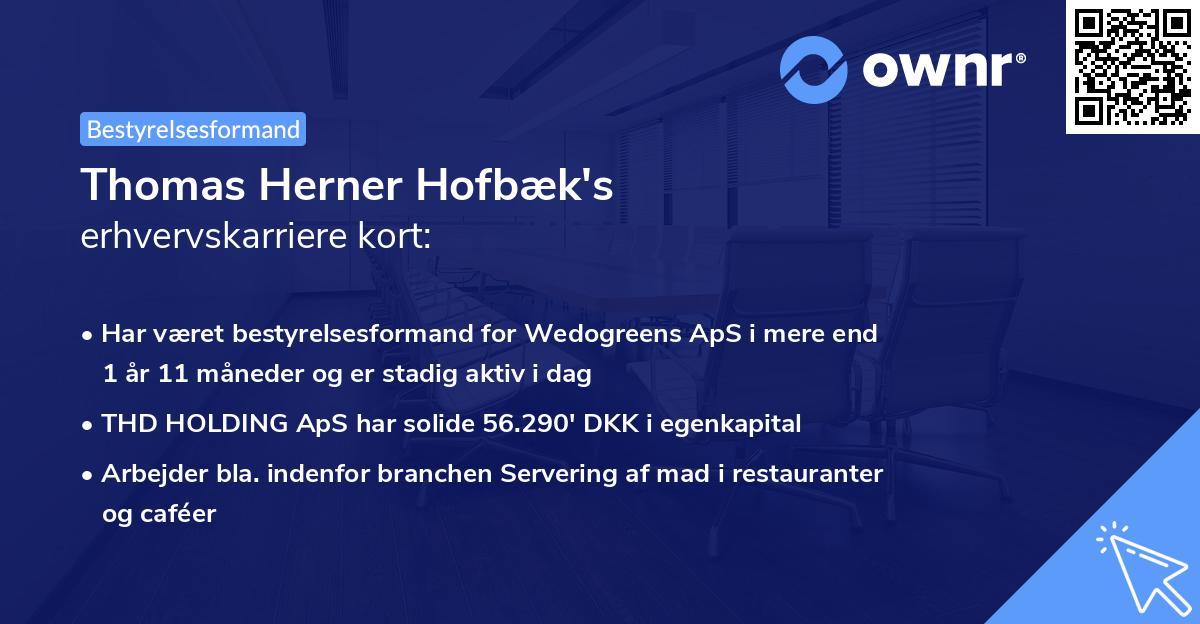 Thomas Herner Hofbæk's erhvervskarriere kort