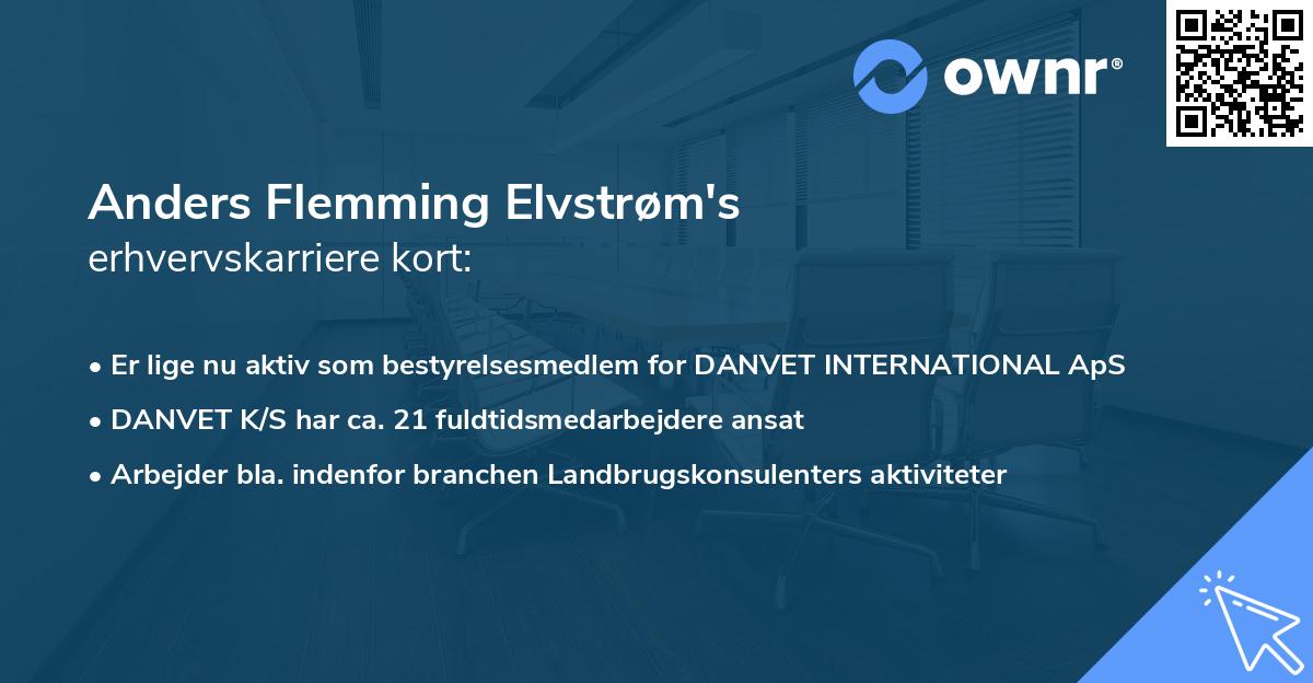 Anders Flemming Elvstrøm's erhvervskarriere kort