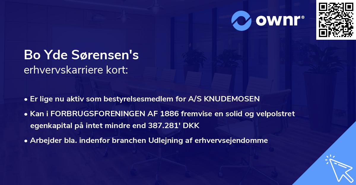 Bo Yde Sørensen's erhvervskarriere kort