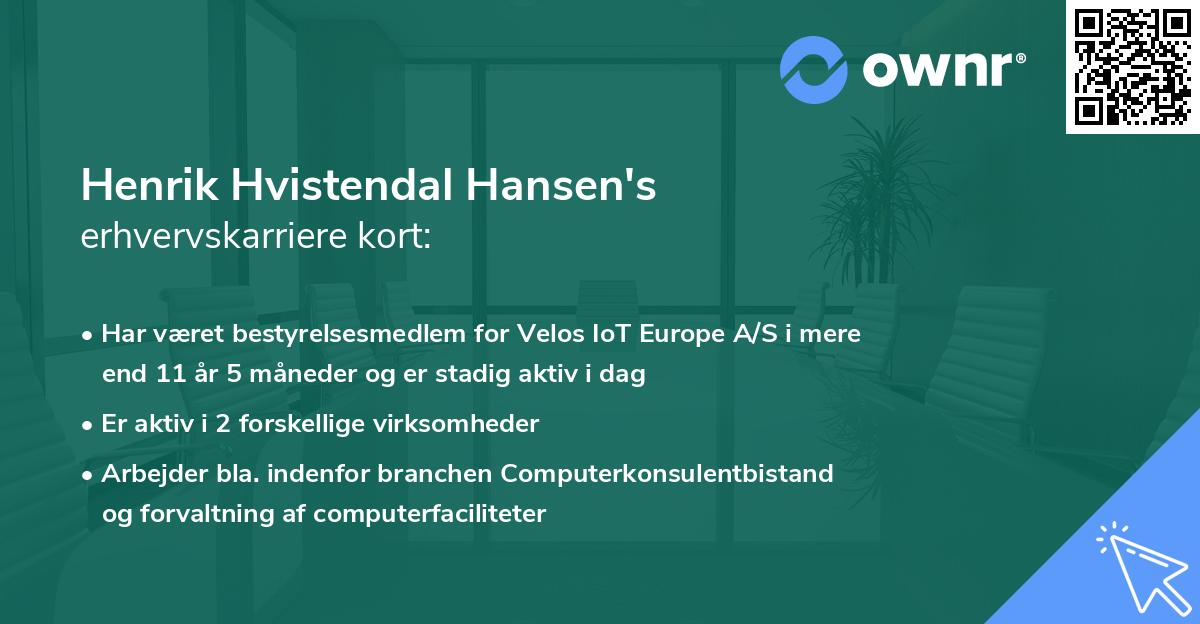 Henrik Hvistendal Hansen's erhvervskarriere kort