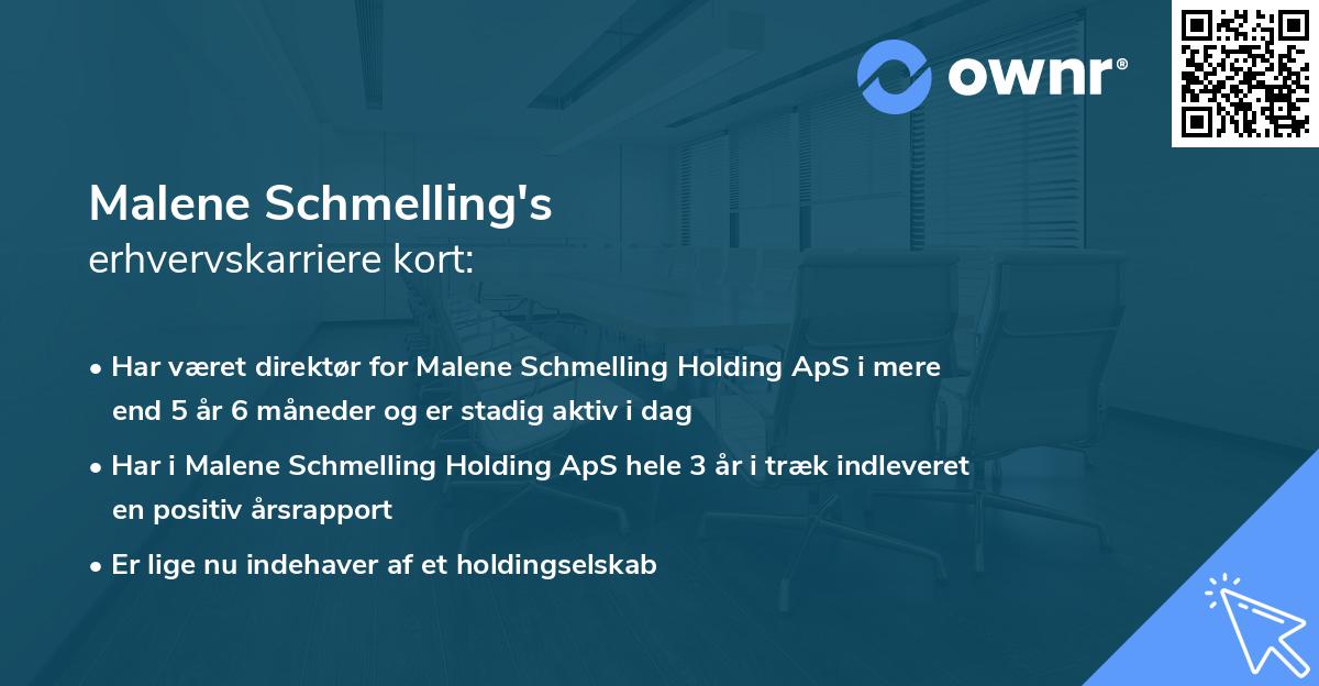 Malene Schmelling's erhvervskarriere kort