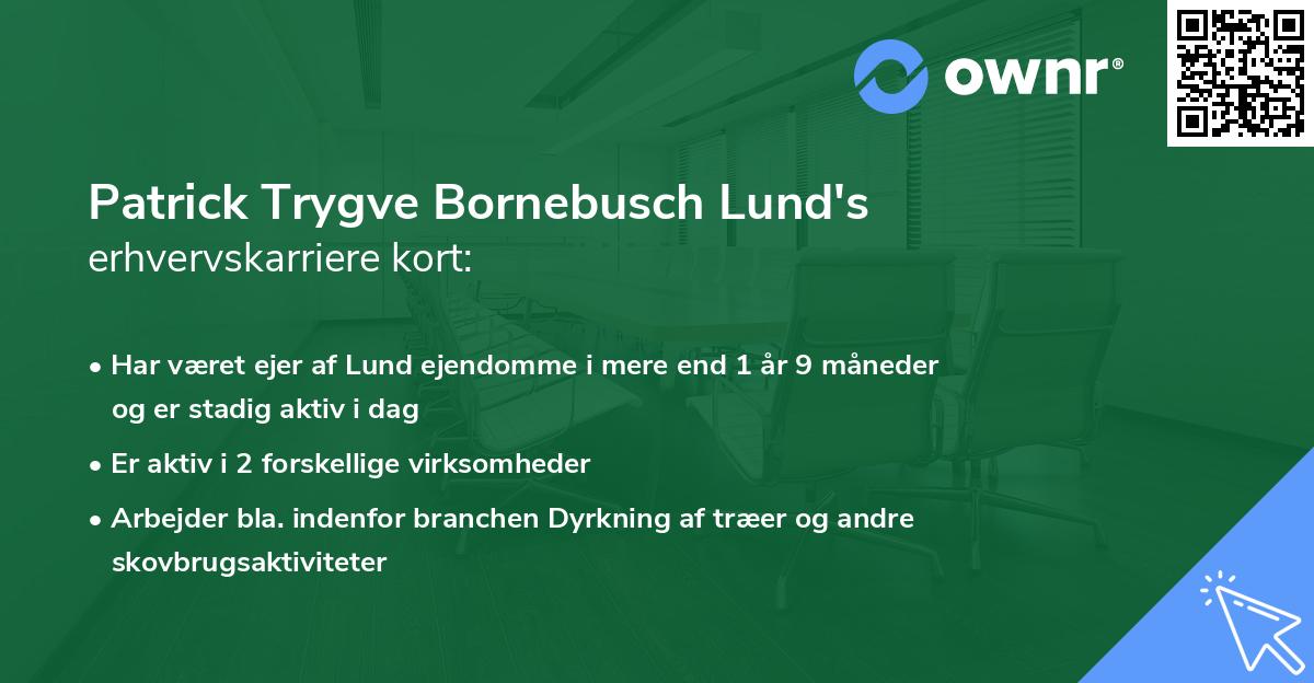 Patrick Trygve Bornebusch Lund's erhvervskarriere kort