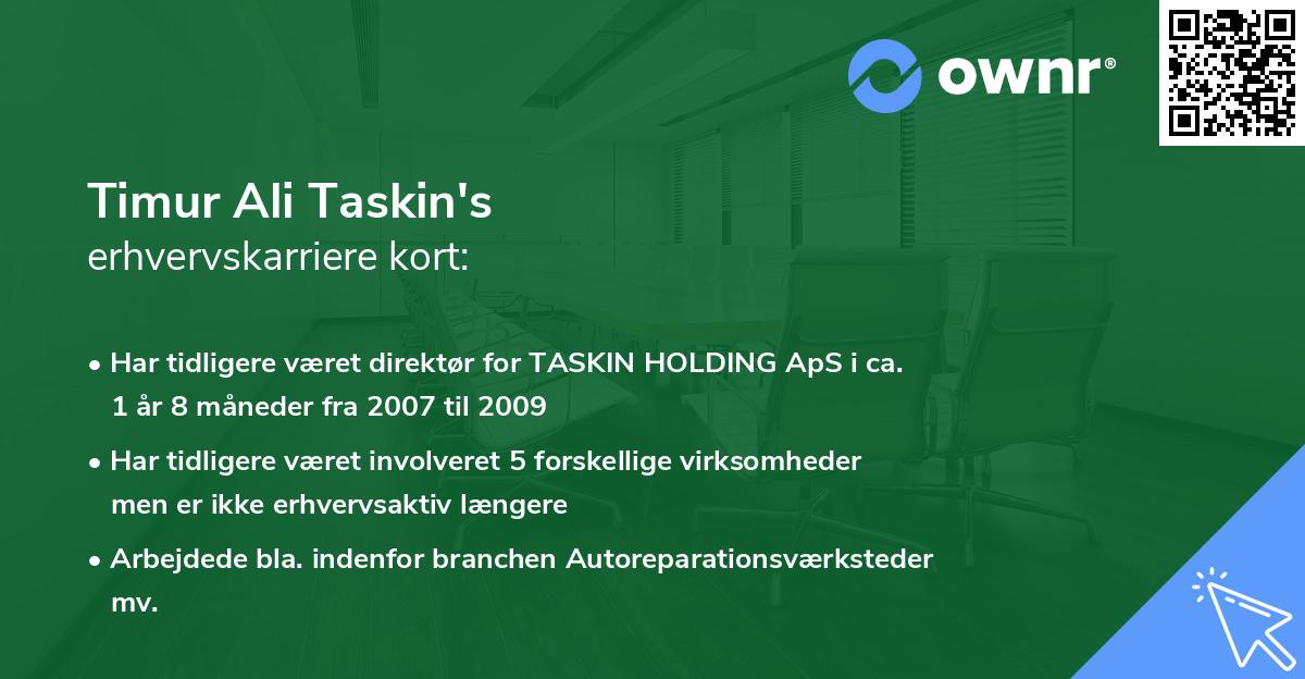 Timur Ali Taskin's erhvervskarriere kort