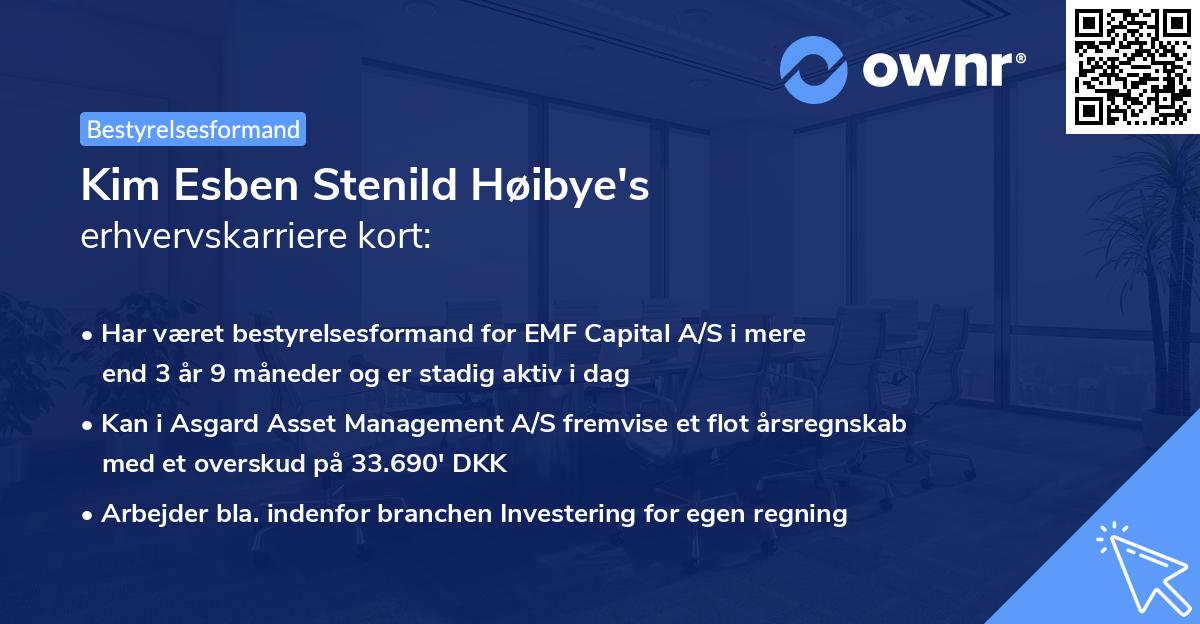Kim Esben Stenild Høibye's erhvervskarriere kort