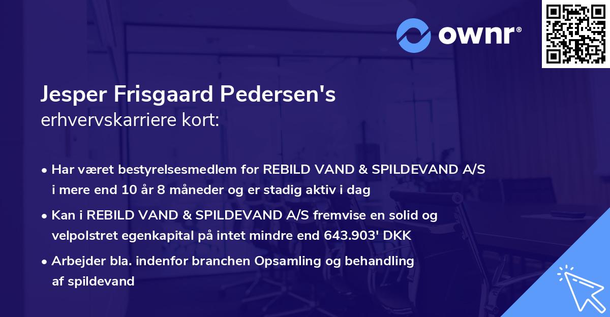 Jesper Frisgaard Pedersen's erhvervskarriere kort