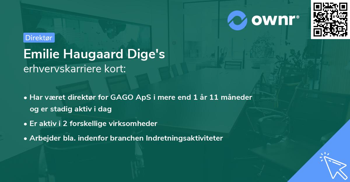 Emilie Haugaard Dige's erhvervskarriere kort