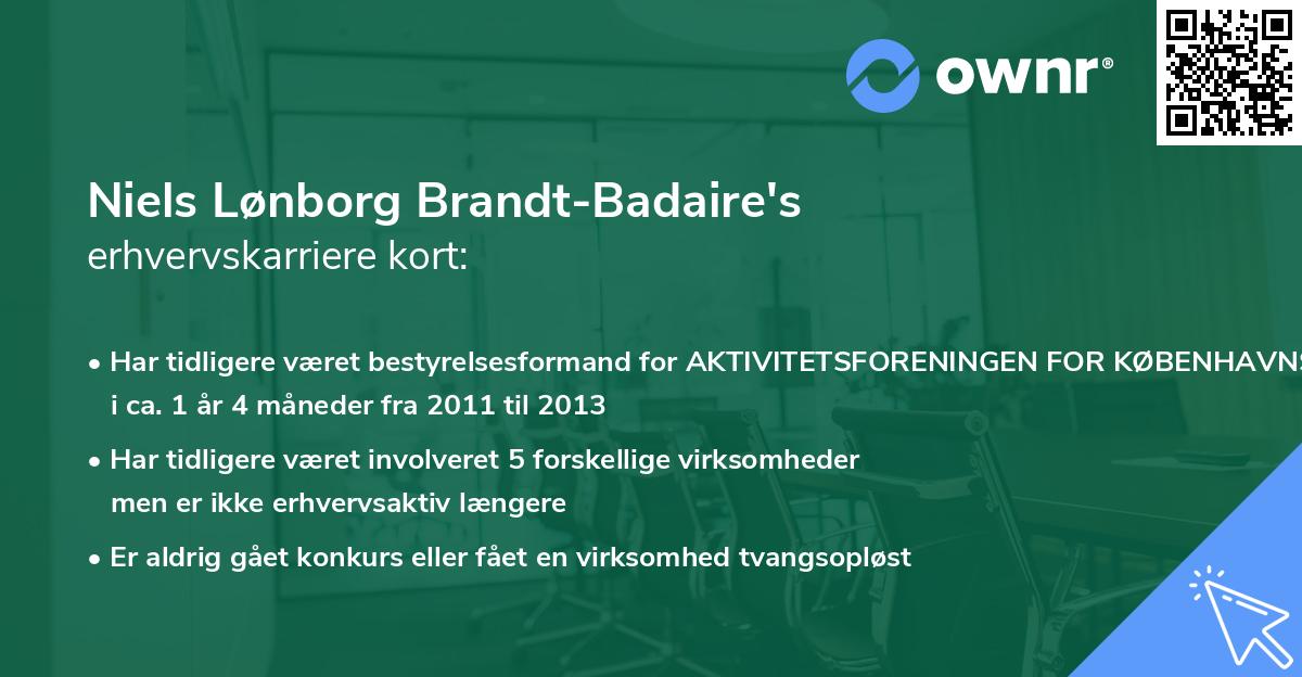 Niels Lønborg Brandt-Badaire's erhvervskarriere kort