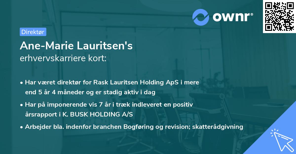 Ane-Marie Lauritsen's erhvervskarriere kort