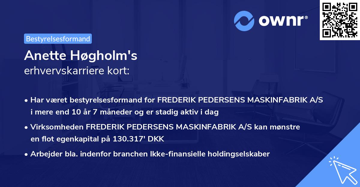 Anette Høgholm's erhvervskarriere kort