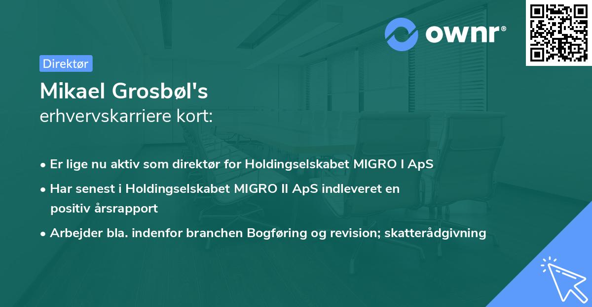 Mikael Grosbøl's erhvervskarriere kort