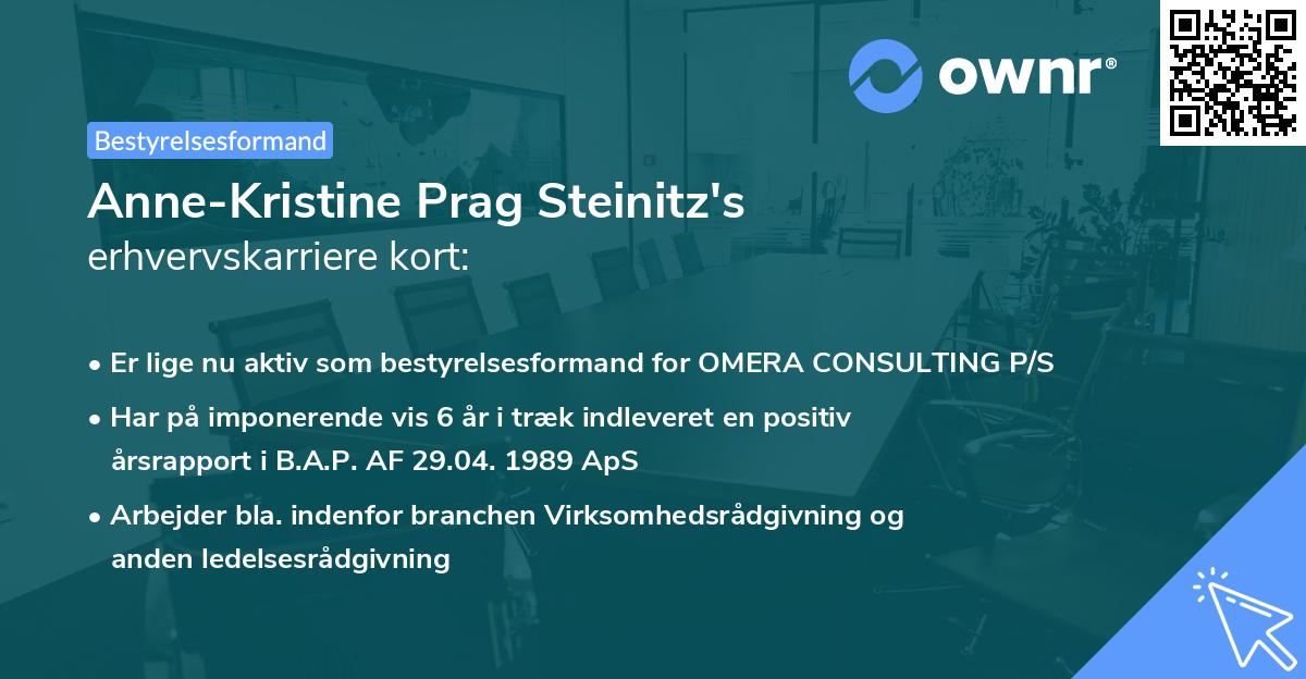 Anne-Kristine Prag Steinitz's erhvervskarriere kort