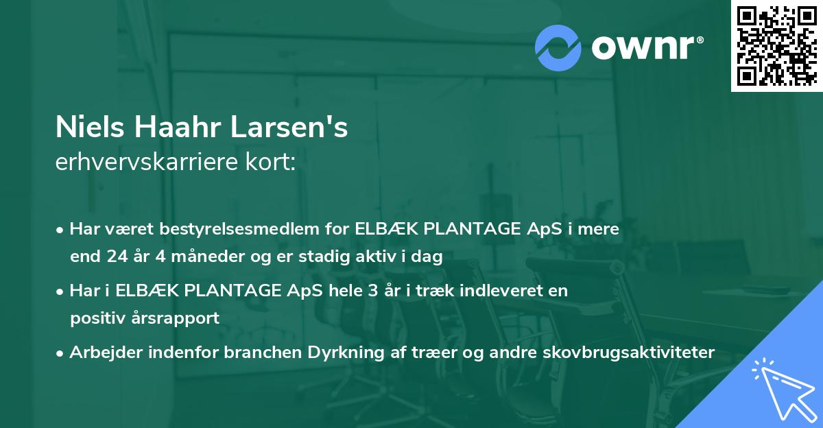 Niels Haahr Larsen's erhvervskarriere kort