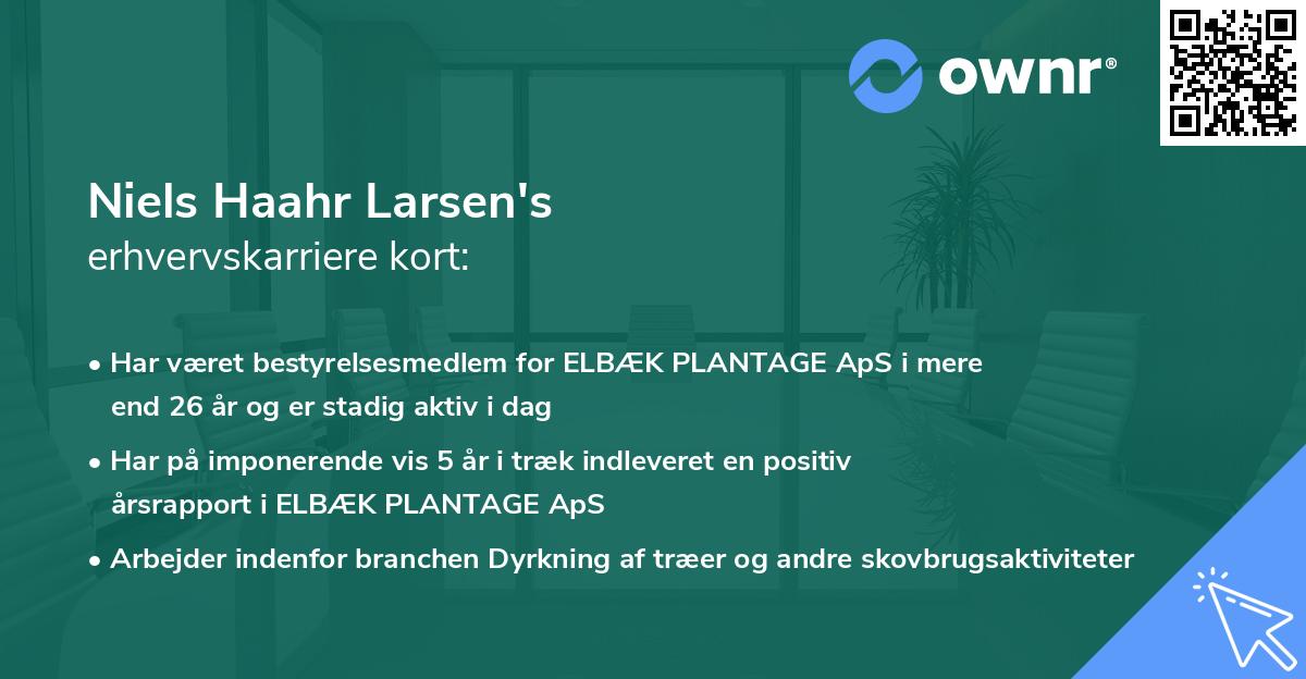 Niels Haahr Larsen's erhvervskarriere kort