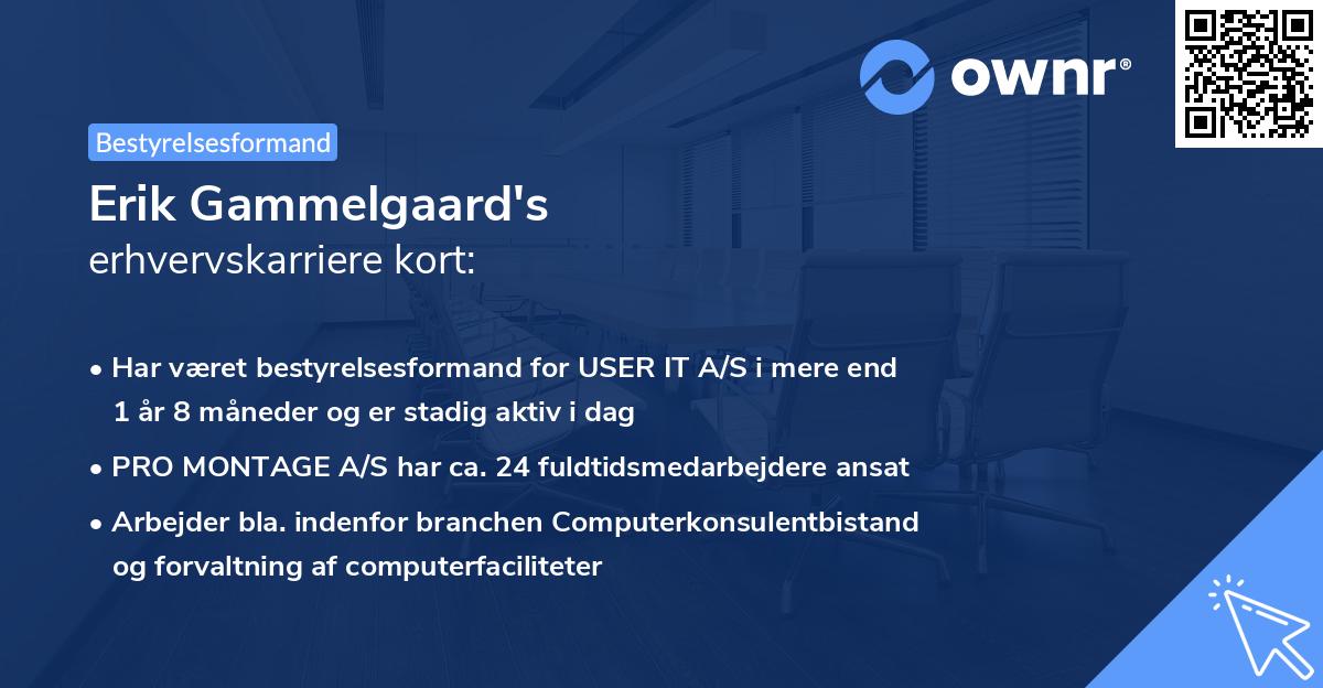 Erik Gammelgaard's erhvervskarriere kort