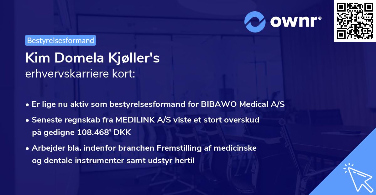 Kim Domela Kjøller's erhvervskarriere kort