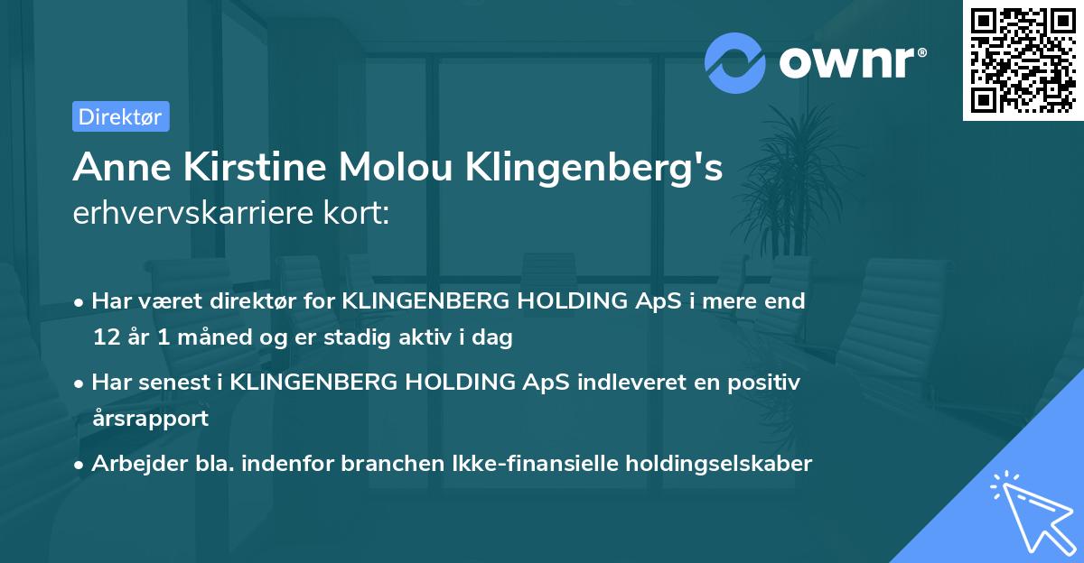 Anne Kirstine Molou Klingenberg's erhvervskarriere kort