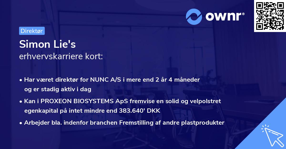 Simon Lie's erhvervskarriere kort