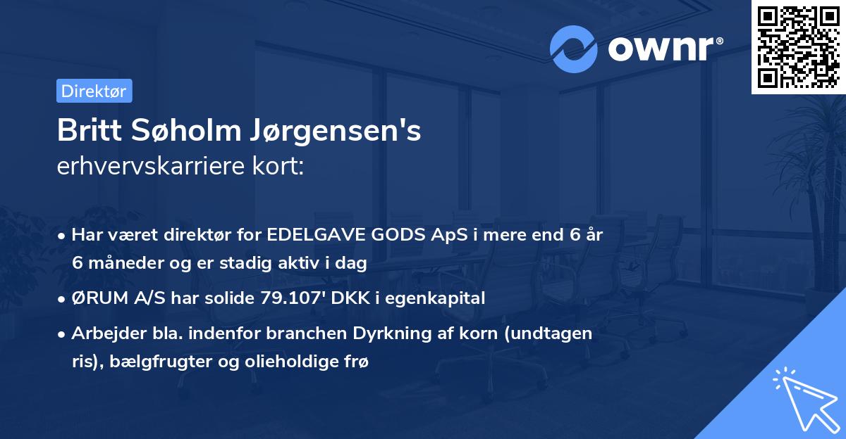 Britt Søholm Jørgensen's erhvervskarriere kort