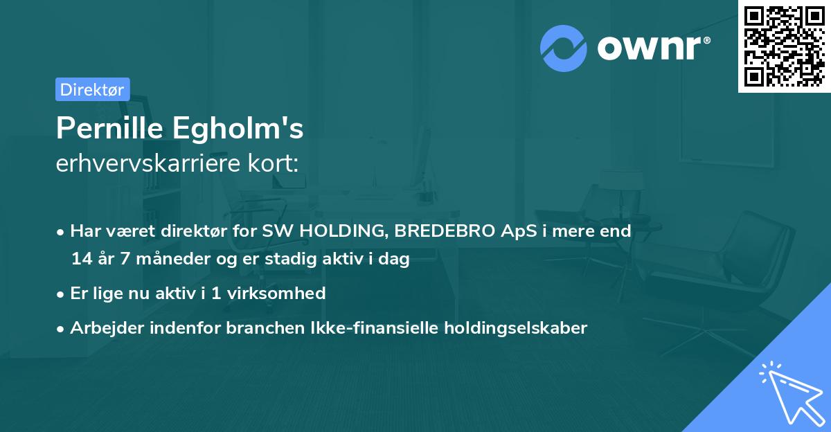 Pernille Egholm's erhvervskarriere kort
