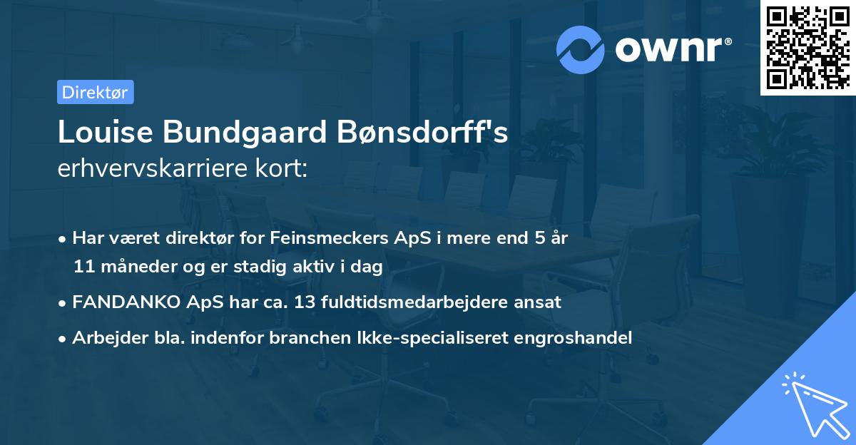 Louise Bundgaard Bønsdorff's erhvervskarriere kort