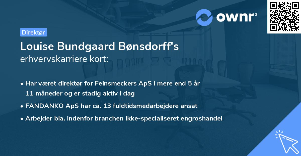 Louise Bundgaard Bønsdorff's erhvervskarriere kort