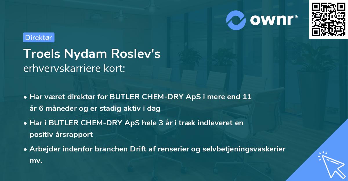 Troels Nydam Roslev's erhvervskarriere kort