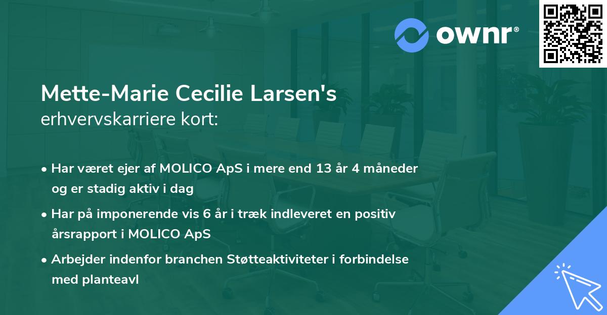 Mette-Marie Cecilie Larsen's erhvervskarriere kort