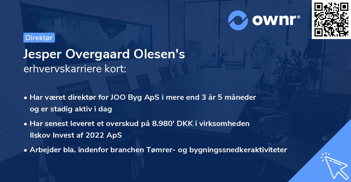 Jesper Overgaard Olesen's erhvervskarriere kort