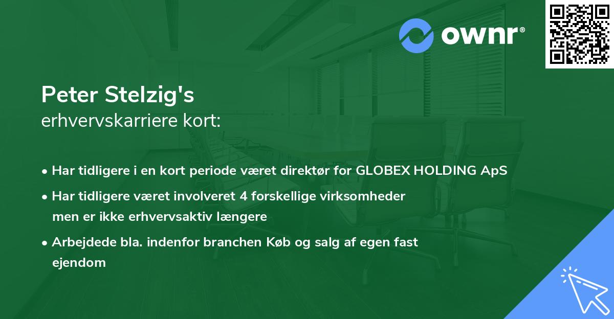 Peter Stelzig's erhvervskarriere kort