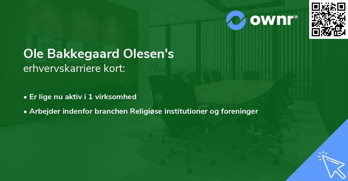 Ole Bakkegaard Olesen's erhvervskarriere kort