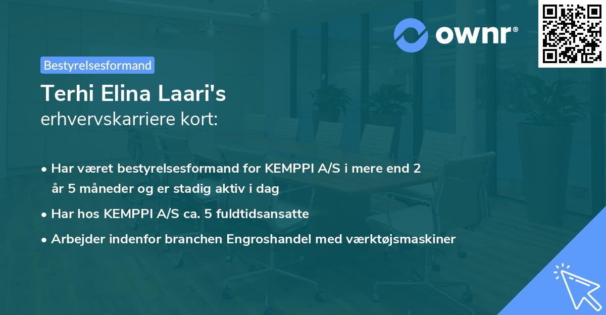 Terhi Elina Laari's erhvervskarriere kort