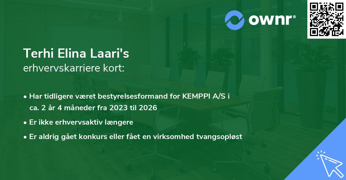 Terhi Elina Laari's erhvervskarriere kort