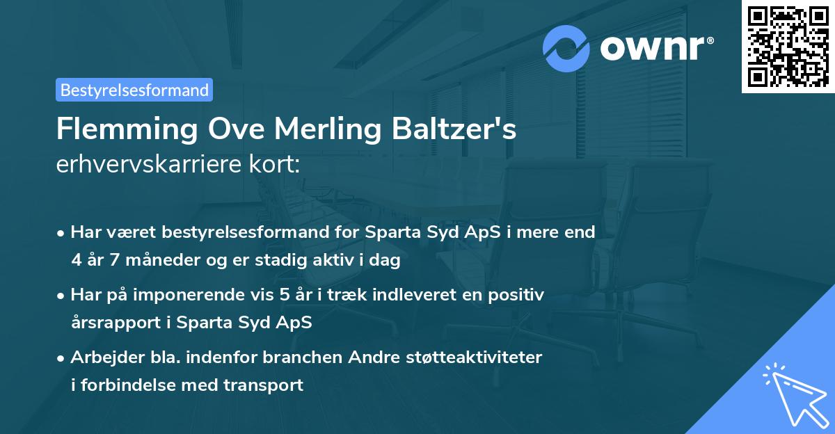 Flemming Ove Merling Baltzer's erhvervskarriere kort