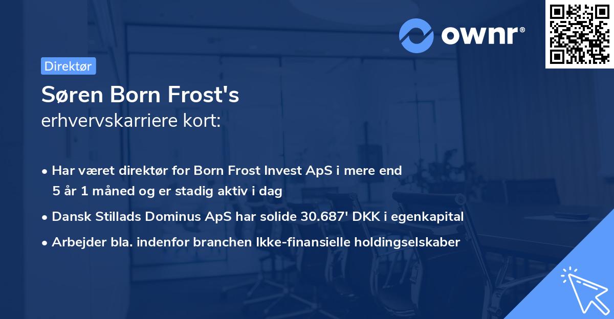 Søren Born Frost's erhvervskarriere kort