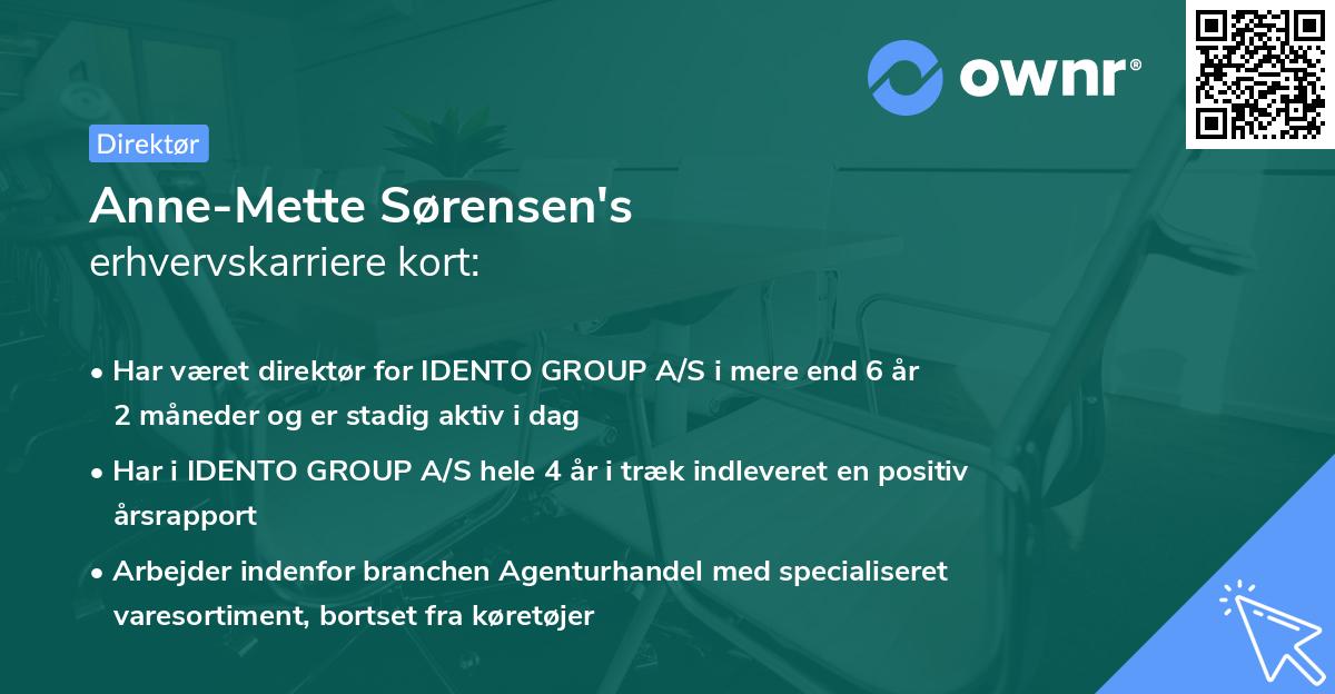Anne-Mette Sørensen's erhvervskarriere kort