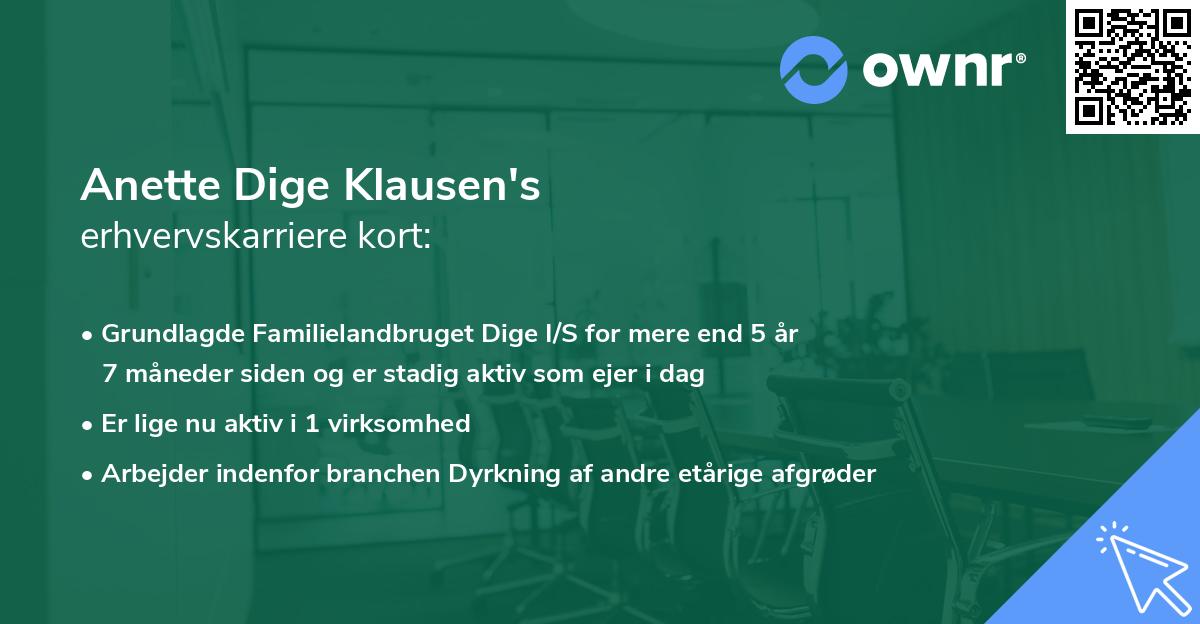 Anette Dige Klausen's erhvervskarriere kort