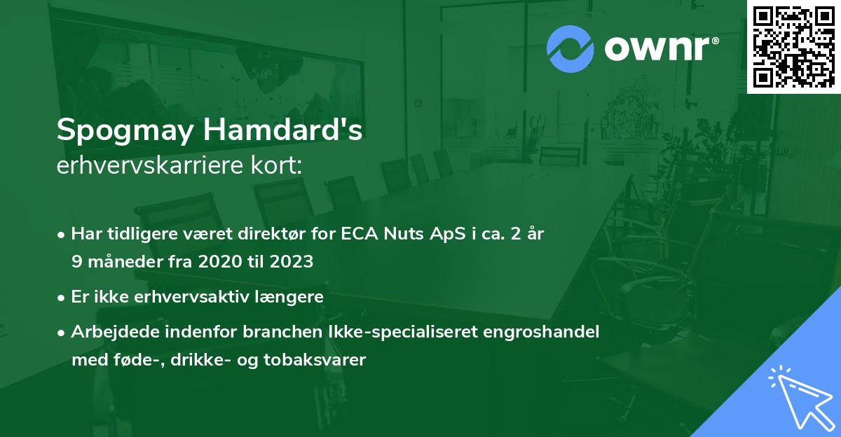 Spogmay Hamdard's erhvervskarriere kort