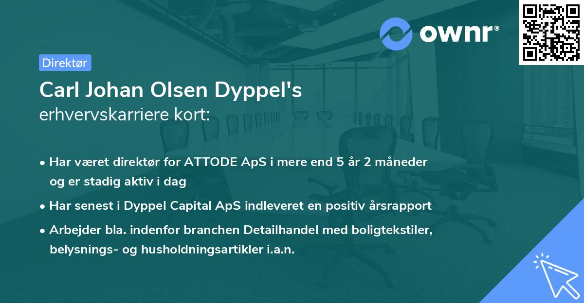 Carl Johan Olsen Dyppel's erhvervskarriere kort