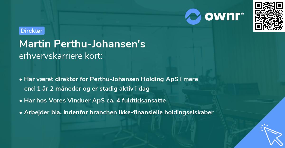Martin Perthu-Johansen's erhvervskarriere kort