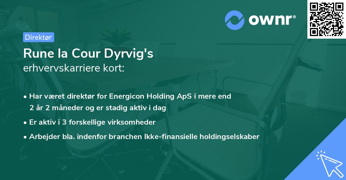 Rune la Cour Dyrvig's erhvervskarriere kort