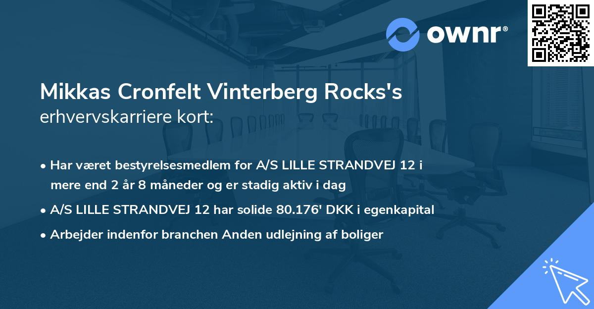 Mikkas Cronfelt Vinterberg Rocks's erhvervskarriere kort