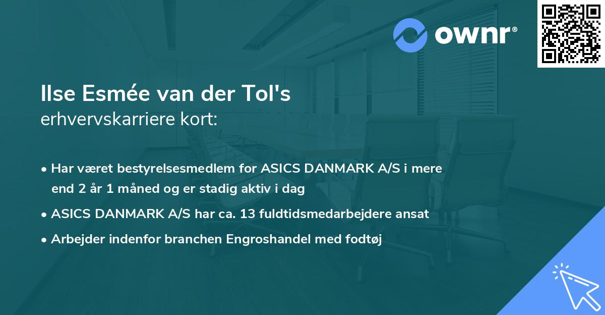 Ilse Esmée van der Tol's erhvervskarriere kort
